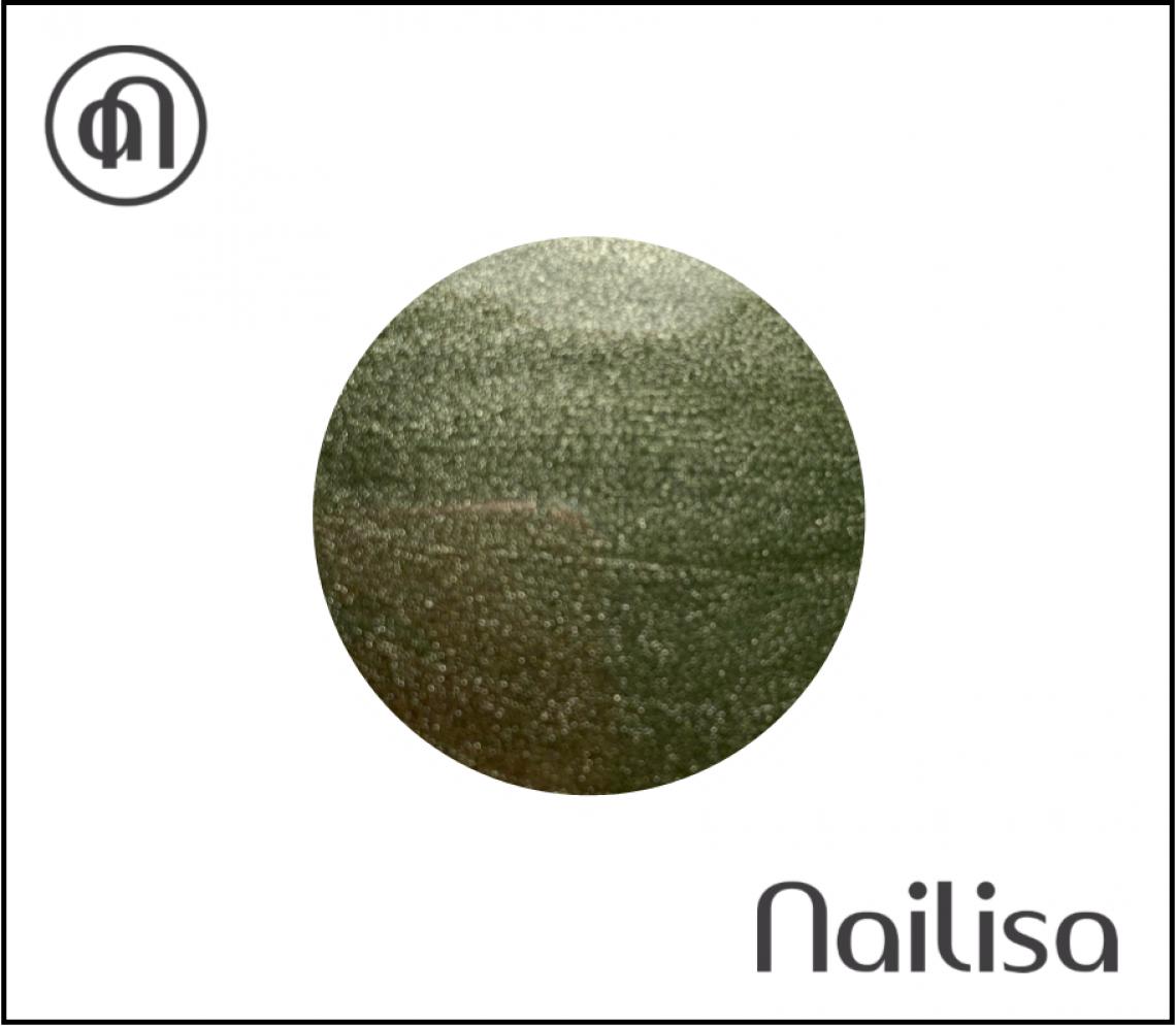 Gel de couleur Walygator - Nailisa - photo 7